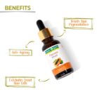 71Y50eVoi4L._SL1500_