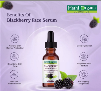 BLUEBERRY ++ BLUEBERRY ++